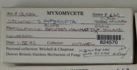 Image Associated With the Occurence